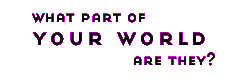 section_group.gif (1211 bytes)